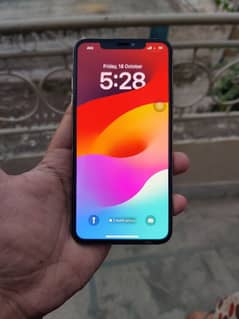 Xs Max