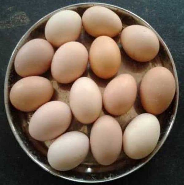 Fresh Desi eggs available 1