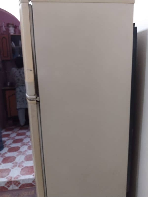 PEL Refrigerator for sale 5