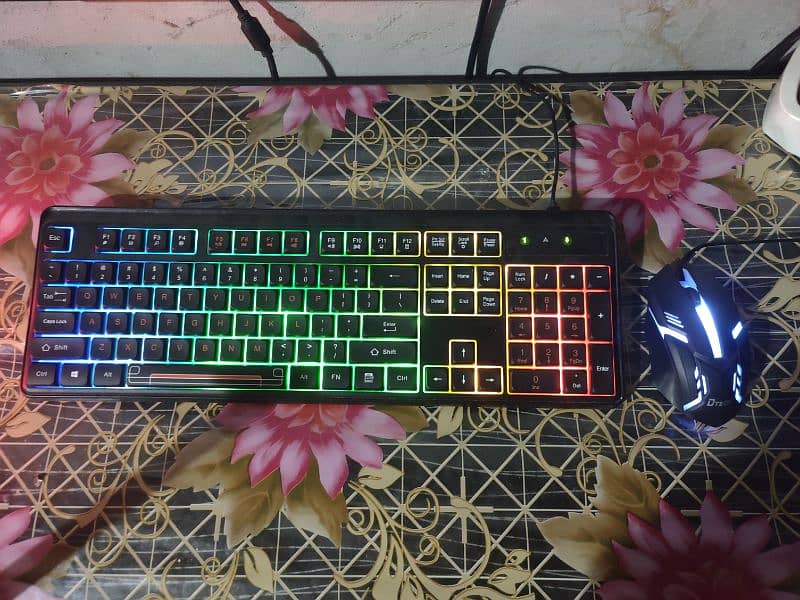 RGB KEYBOARD AND MOUSE 1