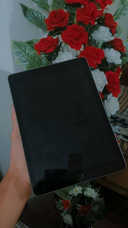 Ipad 6gen Lush Condition 1