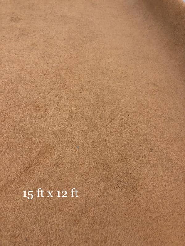 BIG SIZE CARPET ALONG WITH THICK FULL SIZE UNDERLAY 0