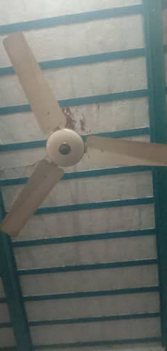 Ceiling Fan