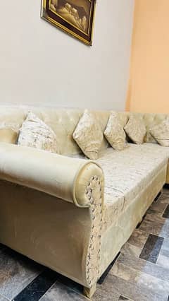 beige colour 7 seater new shape