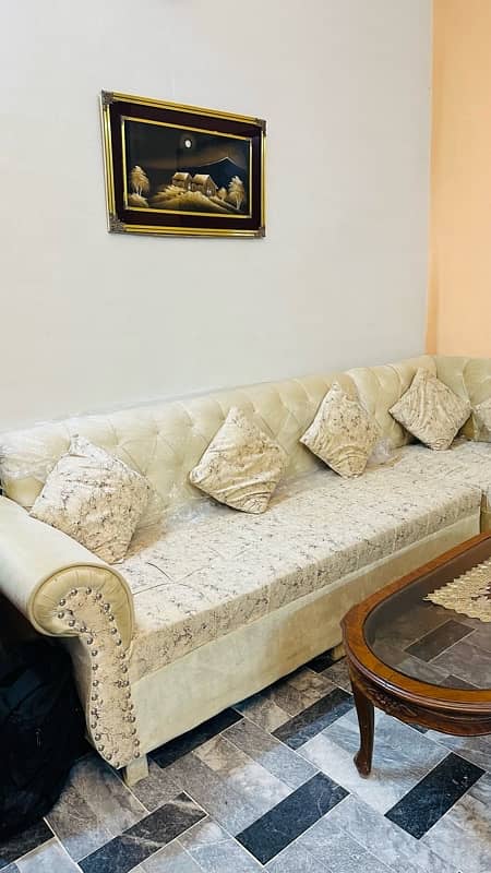 beige colour 7 seater new shape 1