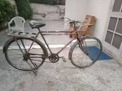 Bicycle For sell