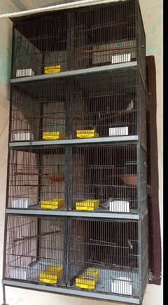 8 portion cage for sale