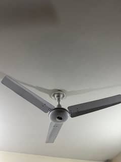 4 wahid Ceiling Fans