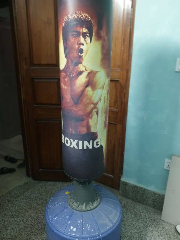 Sticky standing Boxing pad Bruce Lee 1