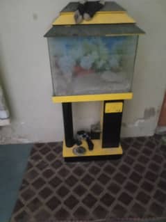 fish tank