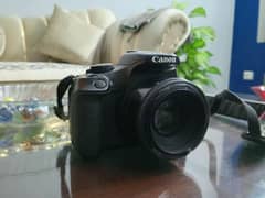 Canon 1300D with portrait Lens