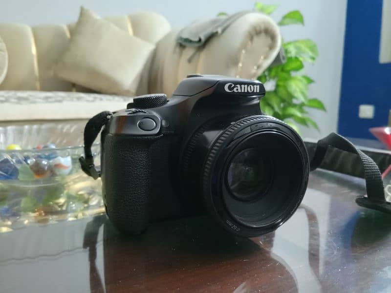 Canon 1300D with portrait Lens 0