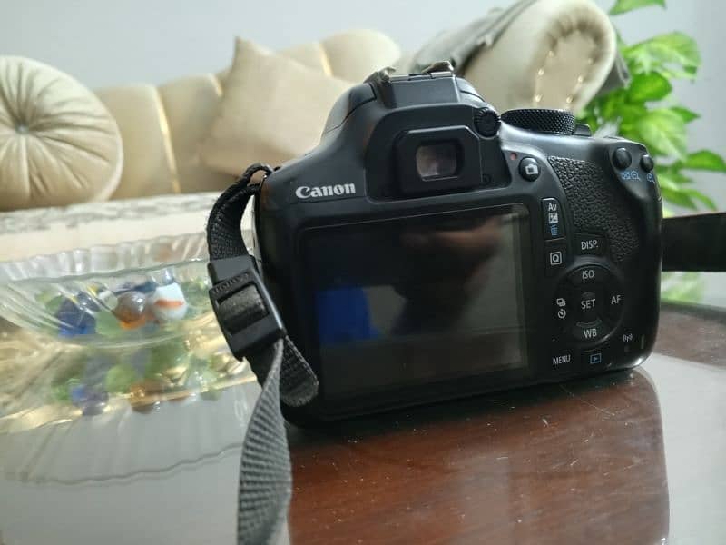 Canon 1300D with portrait Lens 5