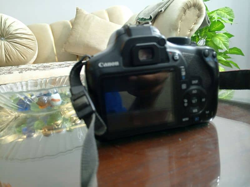 Canon 1300D with portrait Lens 6