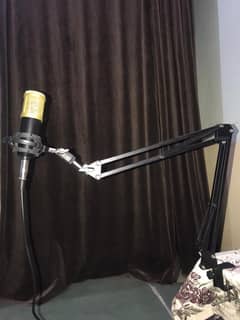 bm 800 mic with stand