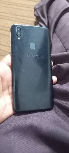 vivo