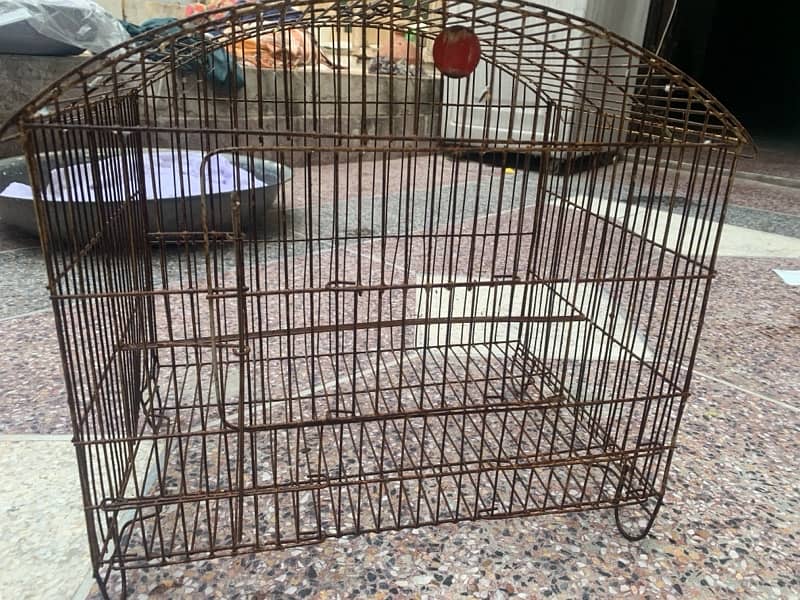 3 pairs red eyes budgies with cage 4