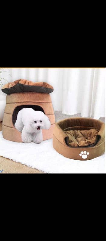 Cat & Dog House 2