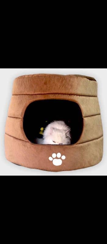 Cat & Dog House 3