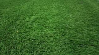 Artificial grass carpet 0