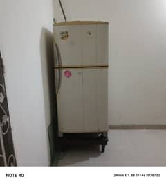 PEL refrigerator for sale in suitable price.