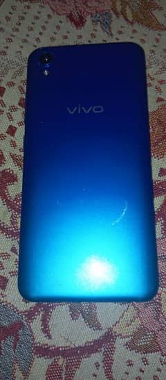 vivo