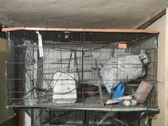 urgent cages for sale