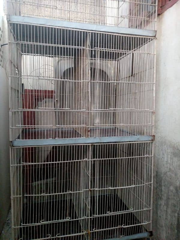 Cage For Sale 2