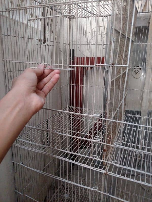 Cage For Sale 10