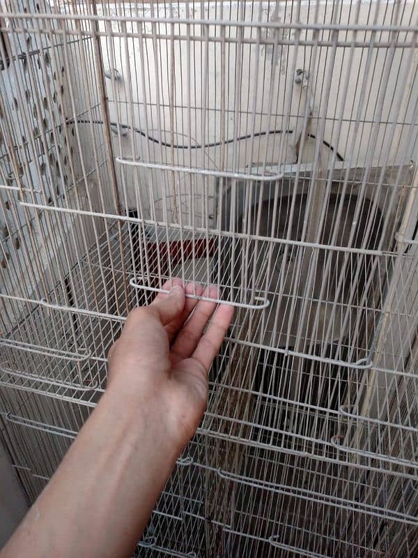 Cage For Sale 19