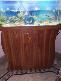 aquarium and fishes for sale with All accessories