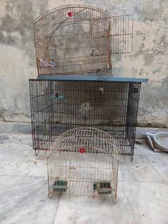 cage for birds