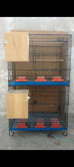 Cages and parrots