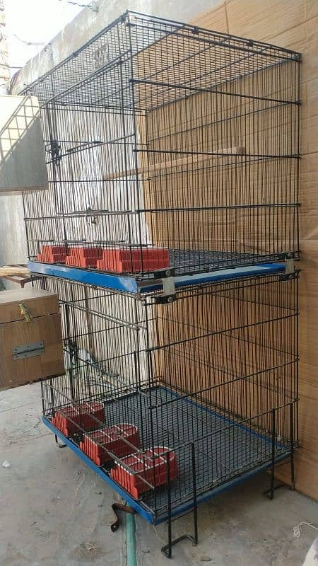 Cages and parrots 2