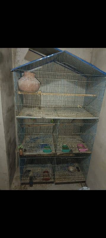 Cages and parrots 5