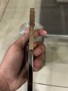 Iphone 12 pro Gold Colour