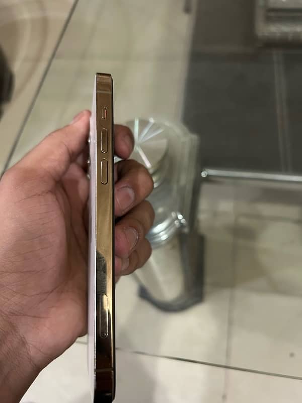 Iphone 12 pro Gold Colour 4