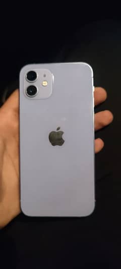 iphone 12 non pta fu