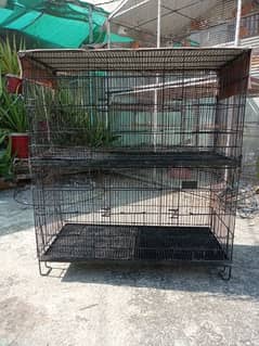 6 Portion cage for sale