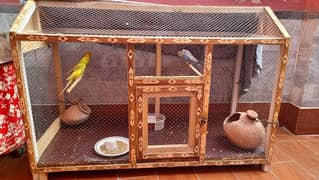 Parrots Cage  fir Sale