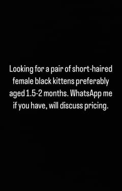 Female black kittens wanted