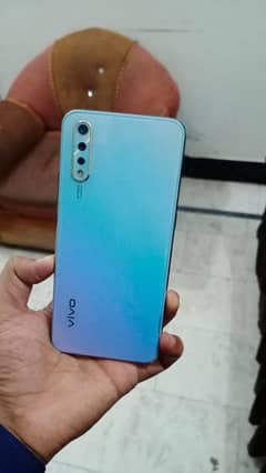 vivo