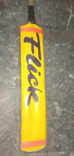 CRICKET BAT