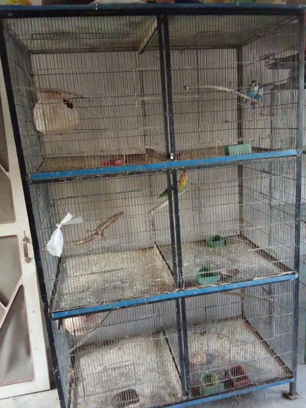 Beautiful cage pinjra 1