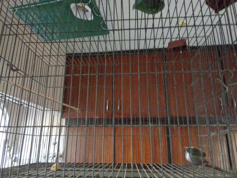 Beautiful cage pinjra 3