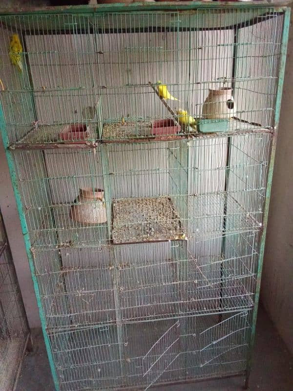 Beautiful cage pinjra 8