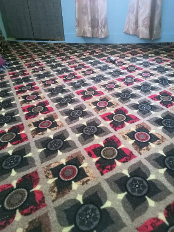 I am selling my brand new carpet 2