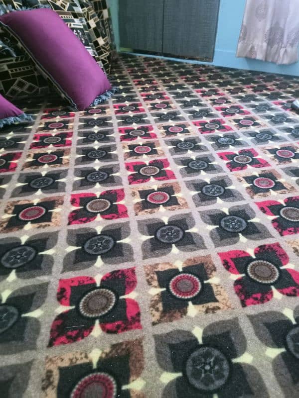 I am selling my brand new carpet 4