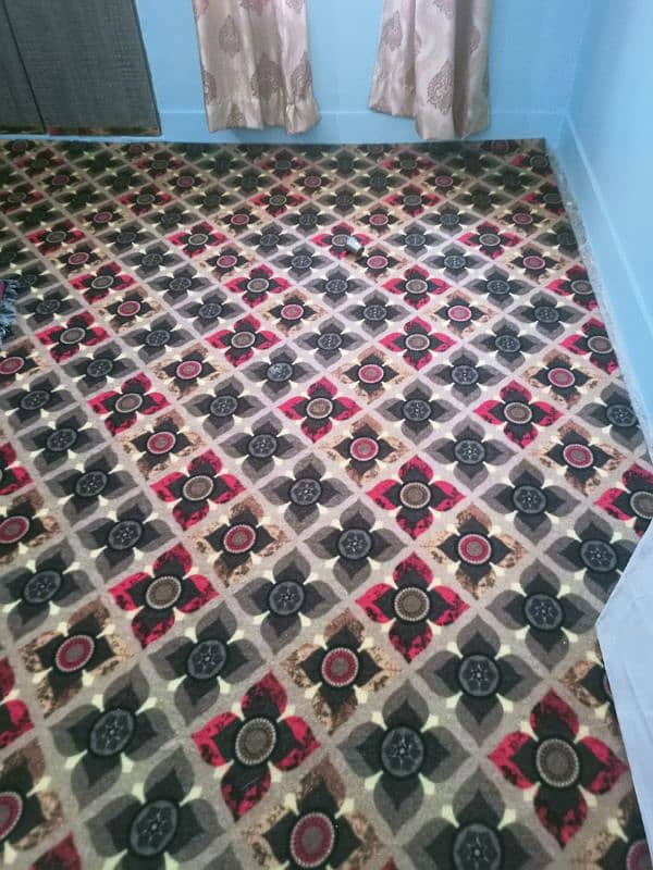 I am selling my brand new carpet 5