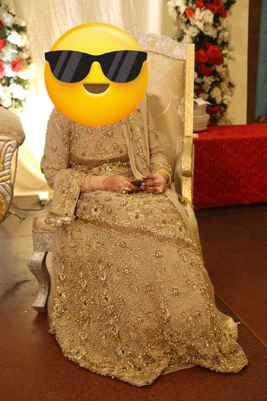 Walima Maxi 1